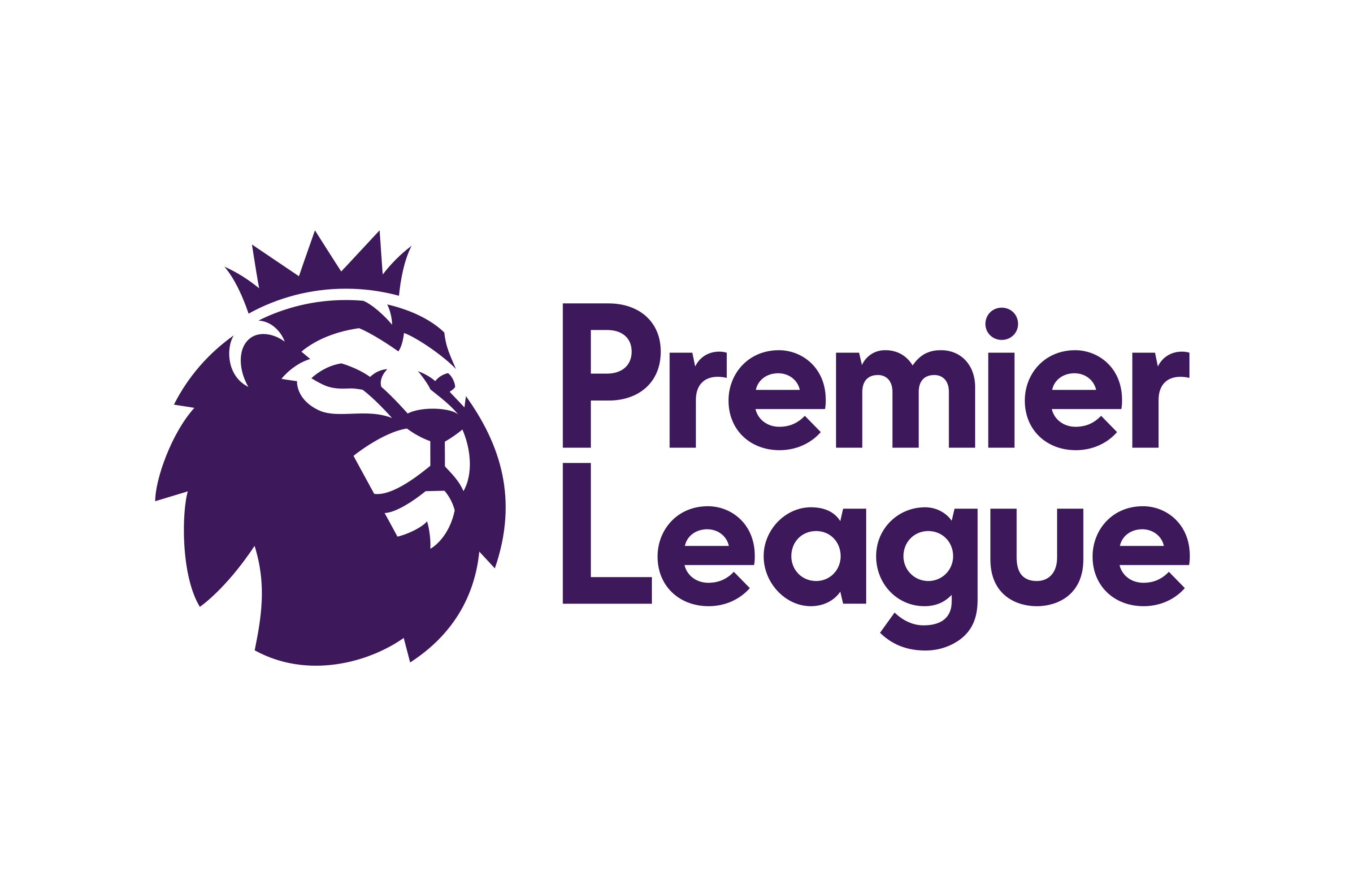 Premier League Partnership