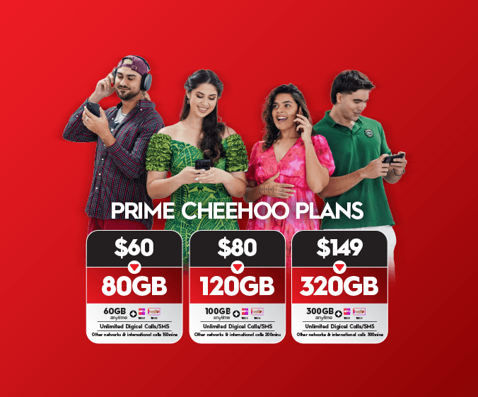 Cheehoo Plans